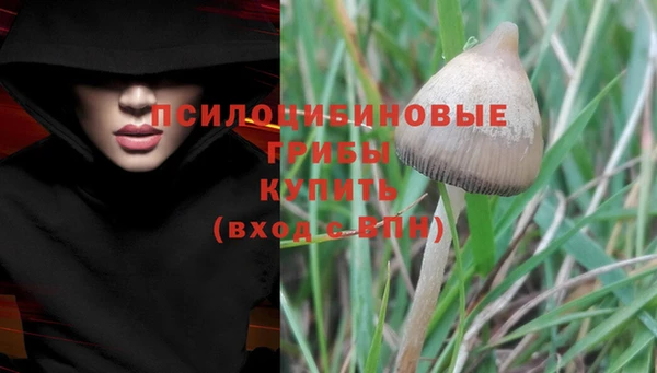 первитин Горняк