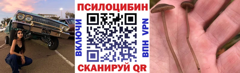 купить  сайты  Инза  Галлюциногенные грибы мухоморы 
